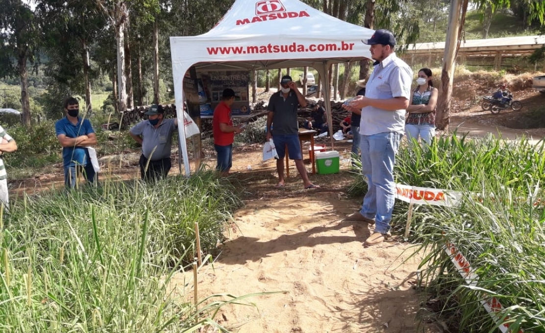 TARDE DE CAMPO SOBRE PASTAGENS