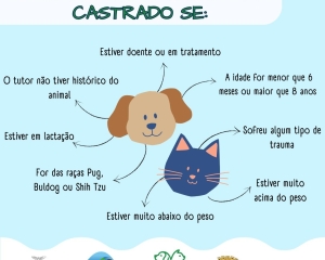 2d691687-2d50-4d32-a4db-c424e5b0a98f.jpg