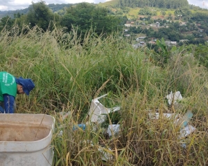dengue2.jpg