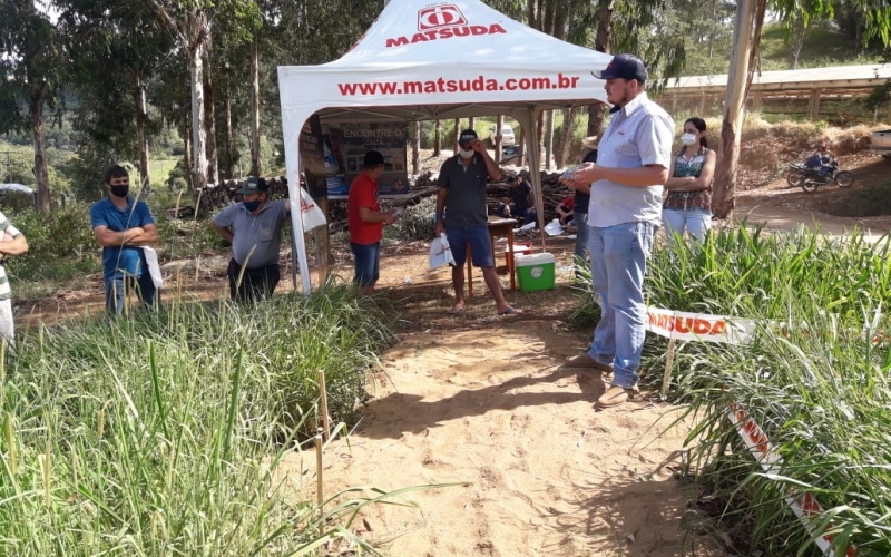 TARDE DE CAMPO SOBRE PASTAGENS